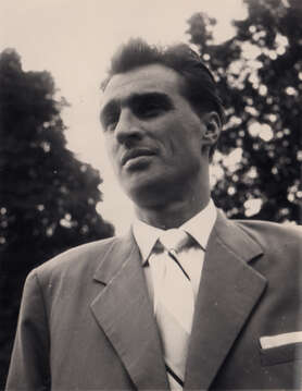 Drofenik, Franček (1931–2004)