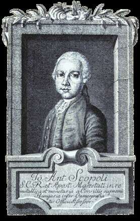 Scopoli, Giovanni Antonio (1723–1788)